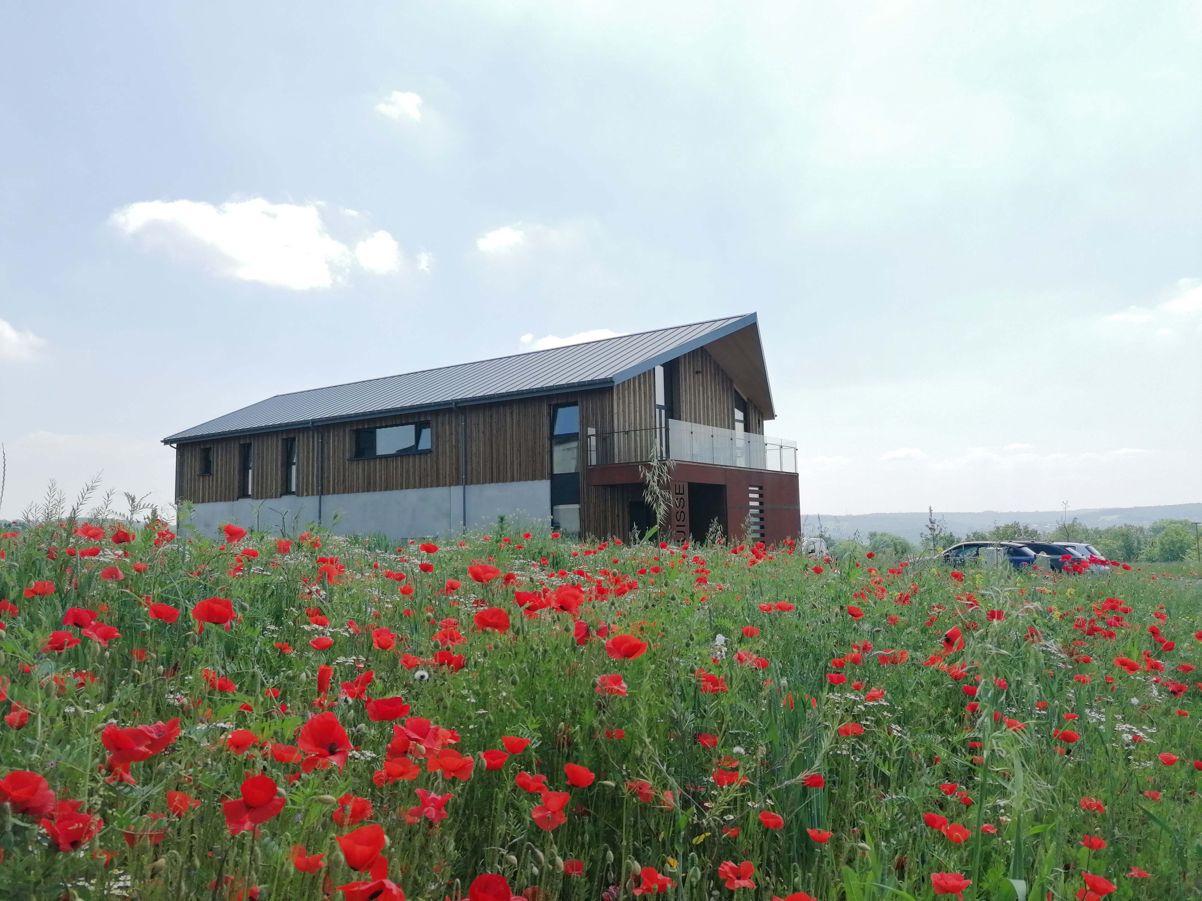 Stabilame-bureaux-des-architectes-Esquisse